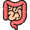 intestino-1.png